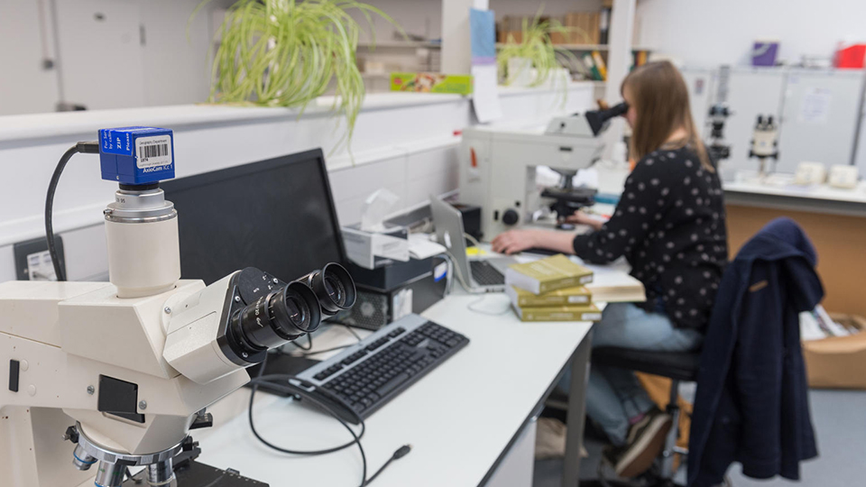 photo of a student working in a laboratory in the Geography department. 