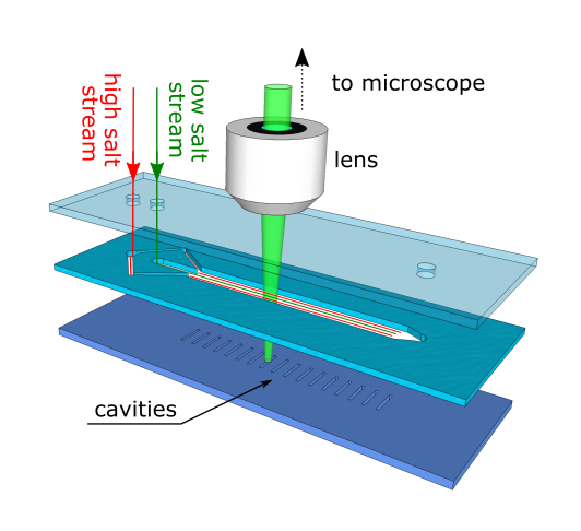 Image of the salt device