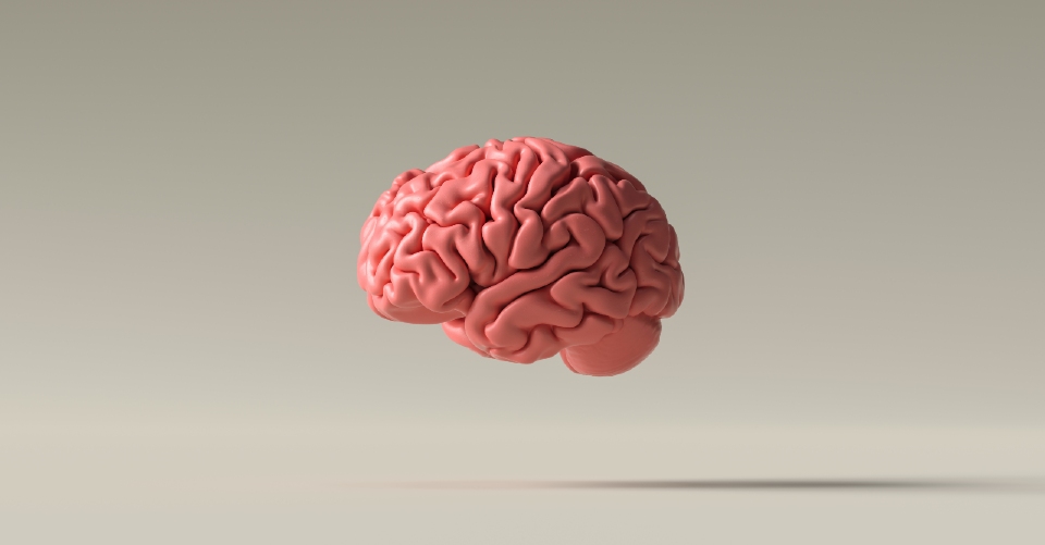 Floating brain image