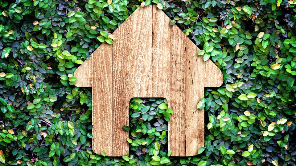 A wooden house on top of a bed of leaves