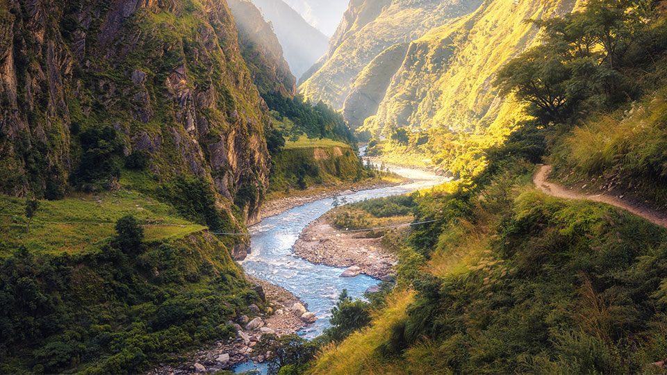 Scenic view of the Inca Trail in Peru, showcasing greenery and ancient stone pathways leading to Machu Picchu.