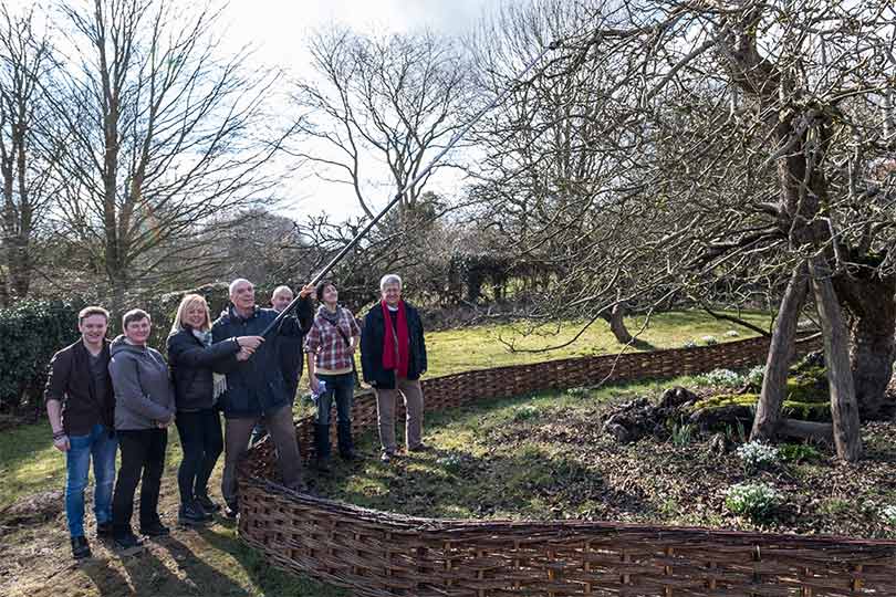 Pictured Loughborough University and National Trust staff cutting Newton's Tree. 