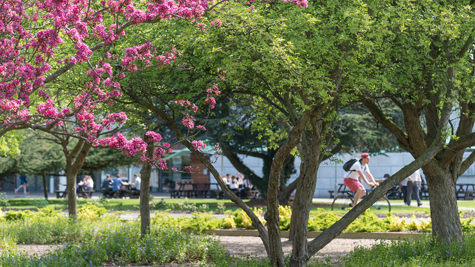 photo of students outside on campus