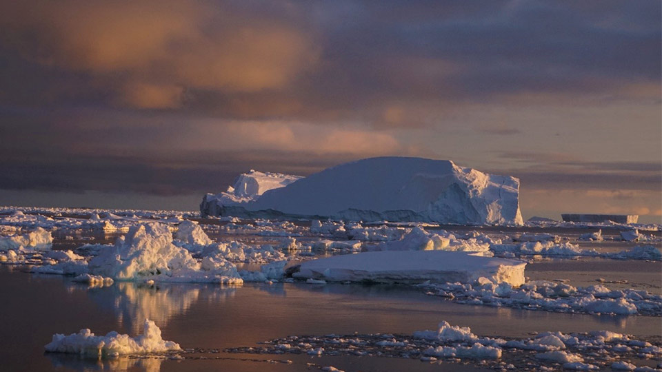 Larsen-C ice shelf. 