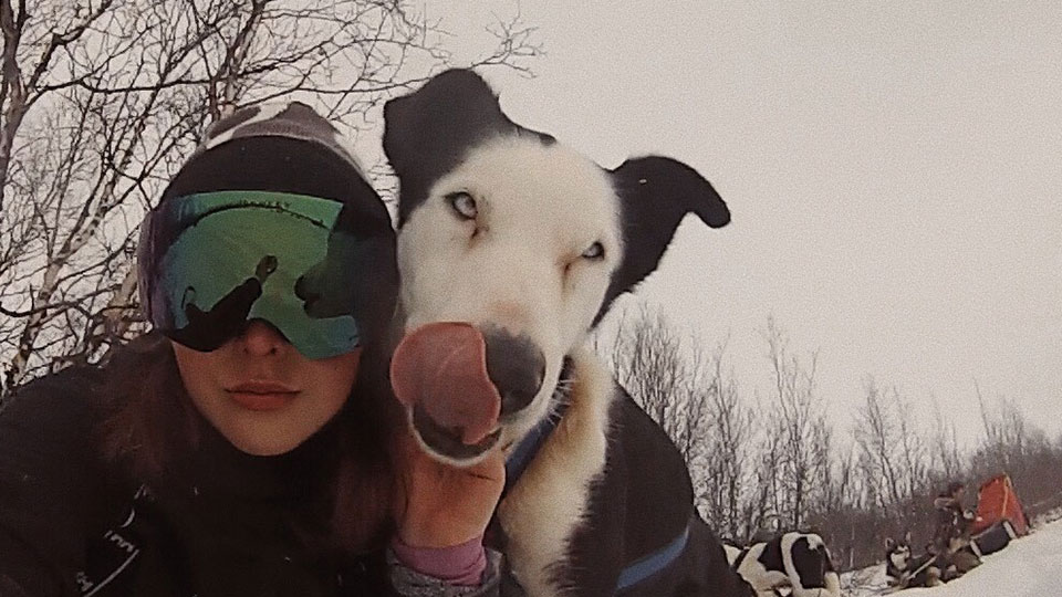 Millie with sled dog 